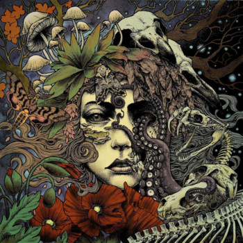 Dorre / Bethmoora Split Review