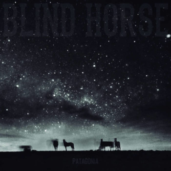 Blind Horse – Patagonia Review