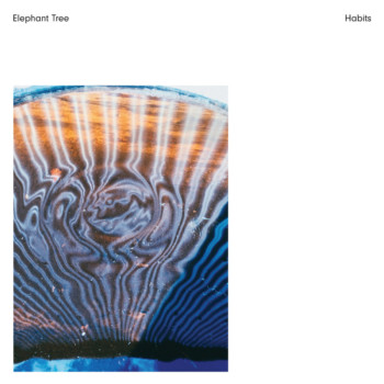 Elephant Tree – Habits Review
