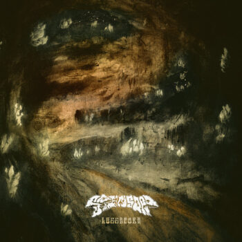 Steinsopp – Luggeføre Review