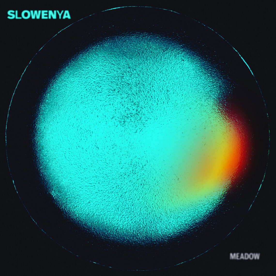 Slowenya- Meadow Review